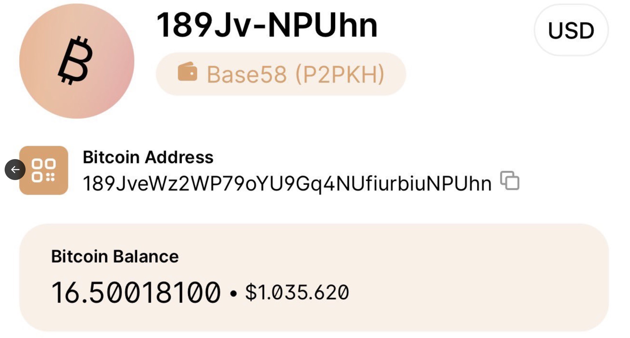 Saldo de 16,5 BTC na blockchain confirmando o bitcoin perdido recuperado